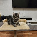 ���� �������, ���������, 42 ���� - ��������� 31 ������ 2024 � ������ ���� ����������
