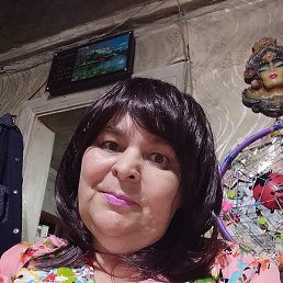 ������, �����������, 56 ���