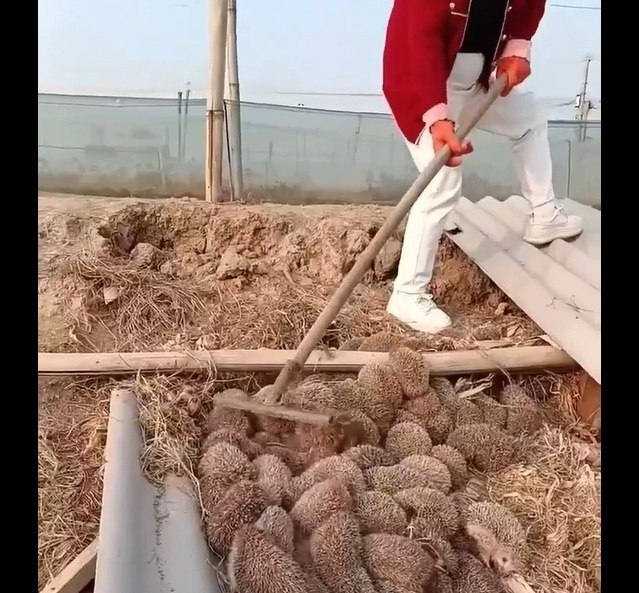 �������� �� ����, � ������ ���� �����.���������� ���������� �� � �����