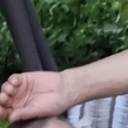 ����, ���������, 54 ����