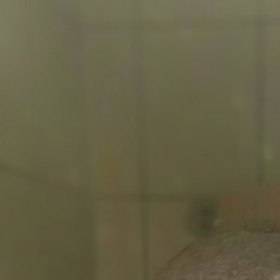 �������, ����, 54 ����