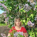 ���� �����, �����������, 66 ��� - ��������� 1 ������ 2023