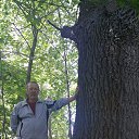 ���� ���������, �������, 65 ��� - ��������� 25 ���� 2024 � ������ ���� ����������