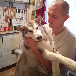 �������, ������ ��������, 45 ���