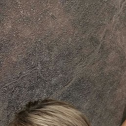 , 54, 