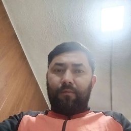 , 33, 