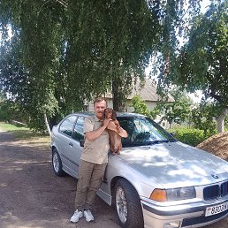 ���� ����, �����, 55 ��� - ��������� 7 ������� 2024