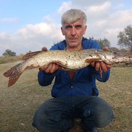 ���� ������, ��������, 48 ��� - ��������� 18 ������ 2026