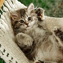 ���� Aladin, ������� - ��������� 3 ������ 2025 � ������ ���� ����������