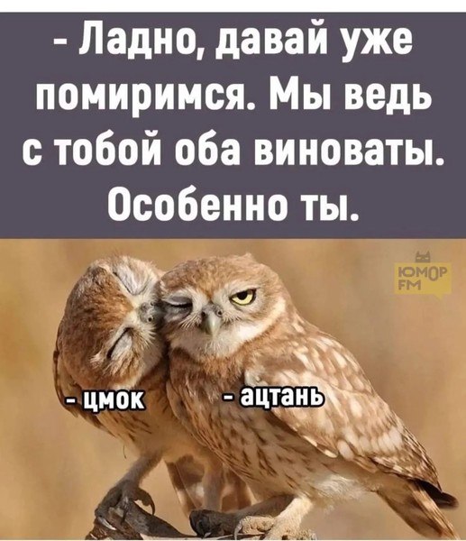 �������� - 19 �������� 2026 � 08:11
