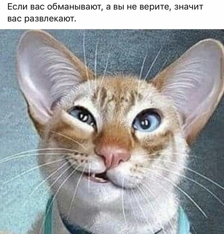  - 21  2023  14:23