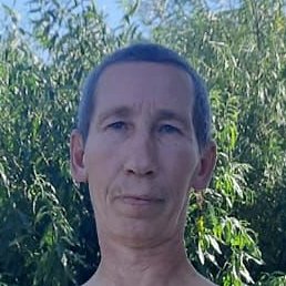 ���, ���������, 44 ����