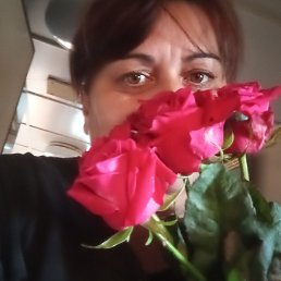 ���� �������, ����, 44 ���� - ��������� 24 ������ 2024