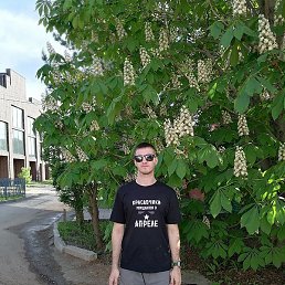 �������, ��������, 28 ���