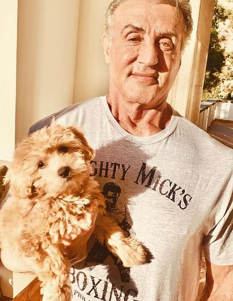   ,   . 1971      ... - 3