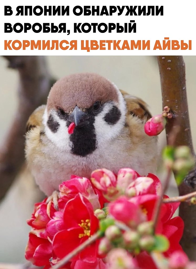 ����� ������� � ������ ����� ��������� ����� �������. ��� ����� ������ �������������� � ������ � ...