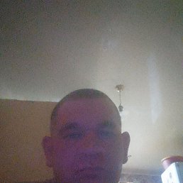, 37, 
