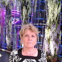  , -, 67  -  24  2024