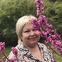 ���� �����, ����, 56 ��� - ��������� 31 ����� 2026