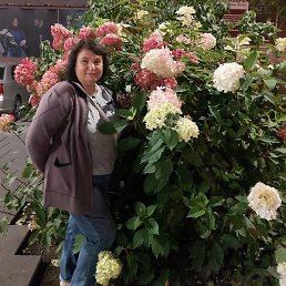 �����, ������������, 54 ����