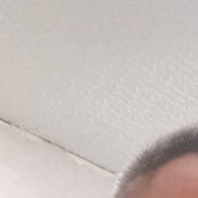 ������, 53 ����, ������