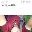 ���� ��������, ������������, 53 ���� - ��������� 18 ���� 2026