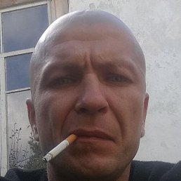 , , 44 