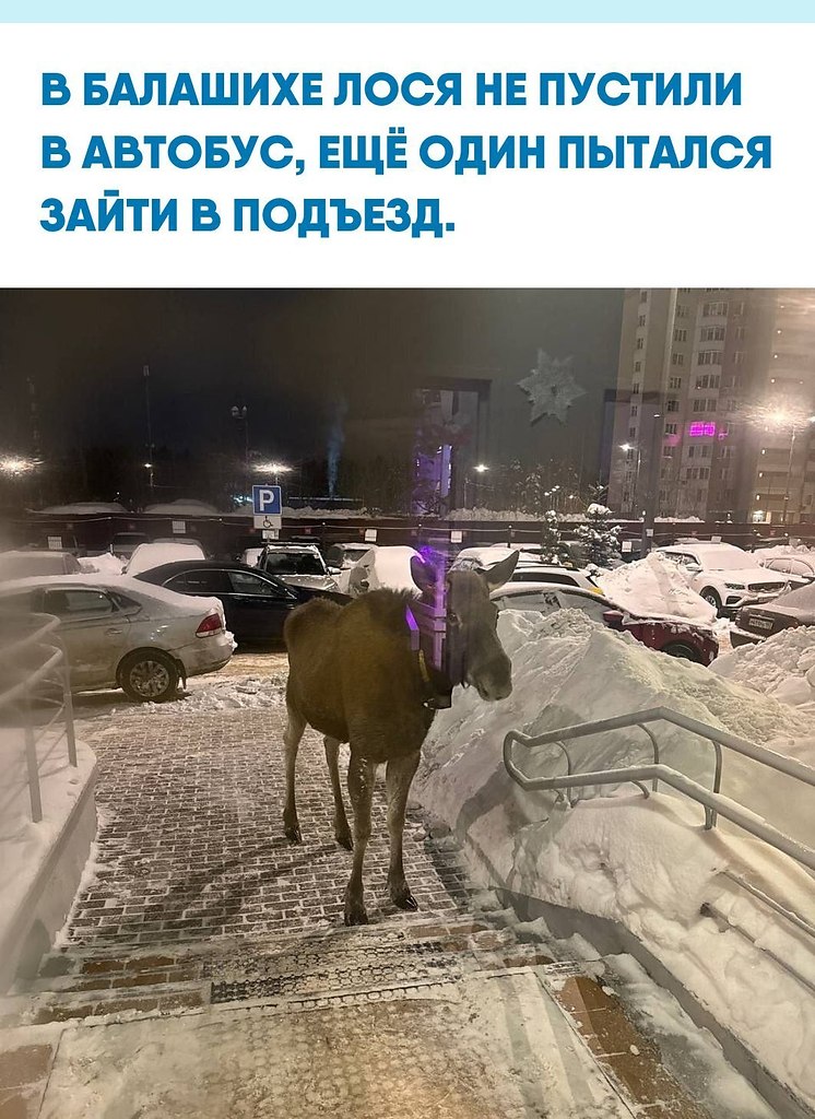�o��oc�o��o� �a�a���e o�e����� �ac���� �oc�, �o�op�� �o�o��� � a��o��c� �, c��� �o �ce��, ���a�c� ...