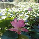  , , 74  -  5  2025   29   