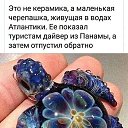 ���� ��������, ������, 84 ���� - ��������� 2 ��� 2026 � ������ ������ ��������