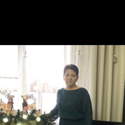 ���� ����, ���������, 49 ��� - ��������� 17 ������ 2024