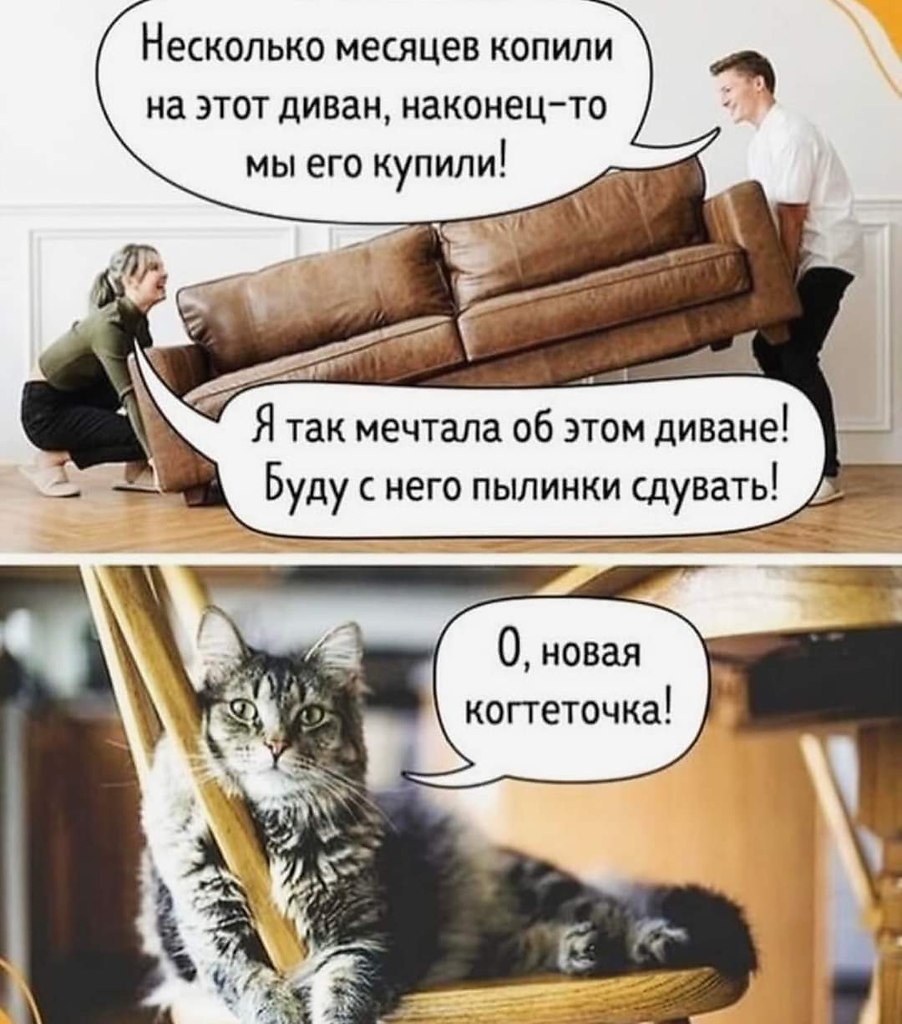   - 7  2024  15:50