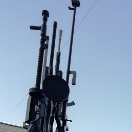 �����, ��������, 37 ���