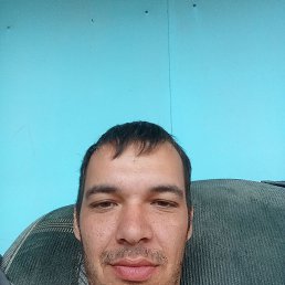 , 29, 