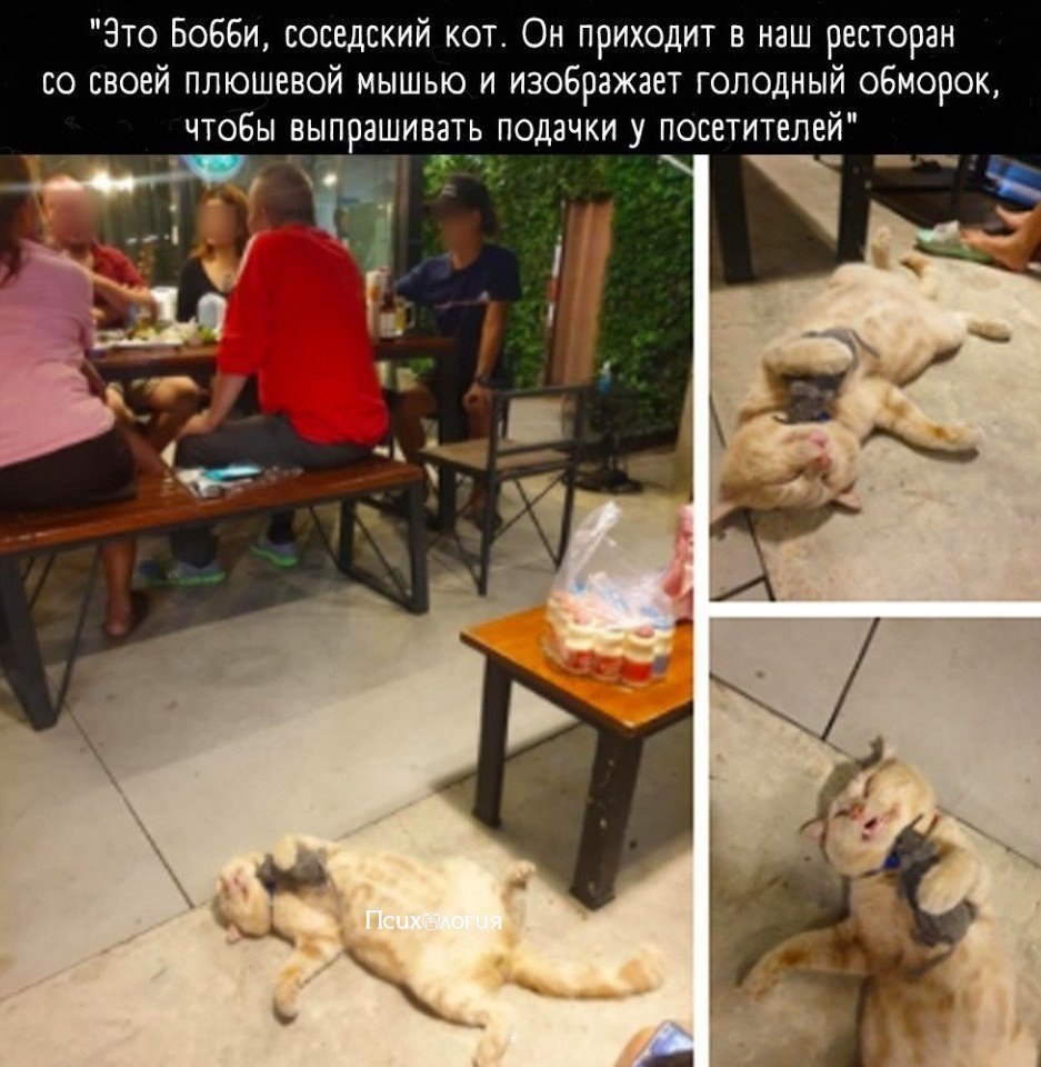 ����� �� � ��� ���� ������������� ���������� �� ������