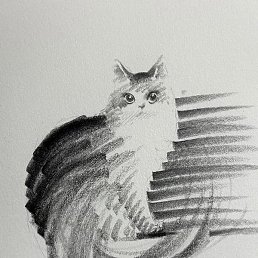 �����, �����������