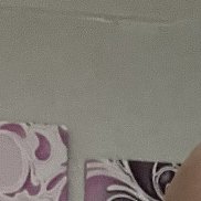 ����������, 48 ���, ������