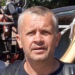 ������, ������, 44 ����