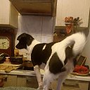 ���� ����, ������-��-����, 58 ��� - ��������� 4 ������ 2026 � ������ ���� ����������