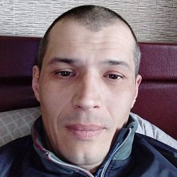 �����, ��������, 37 ���