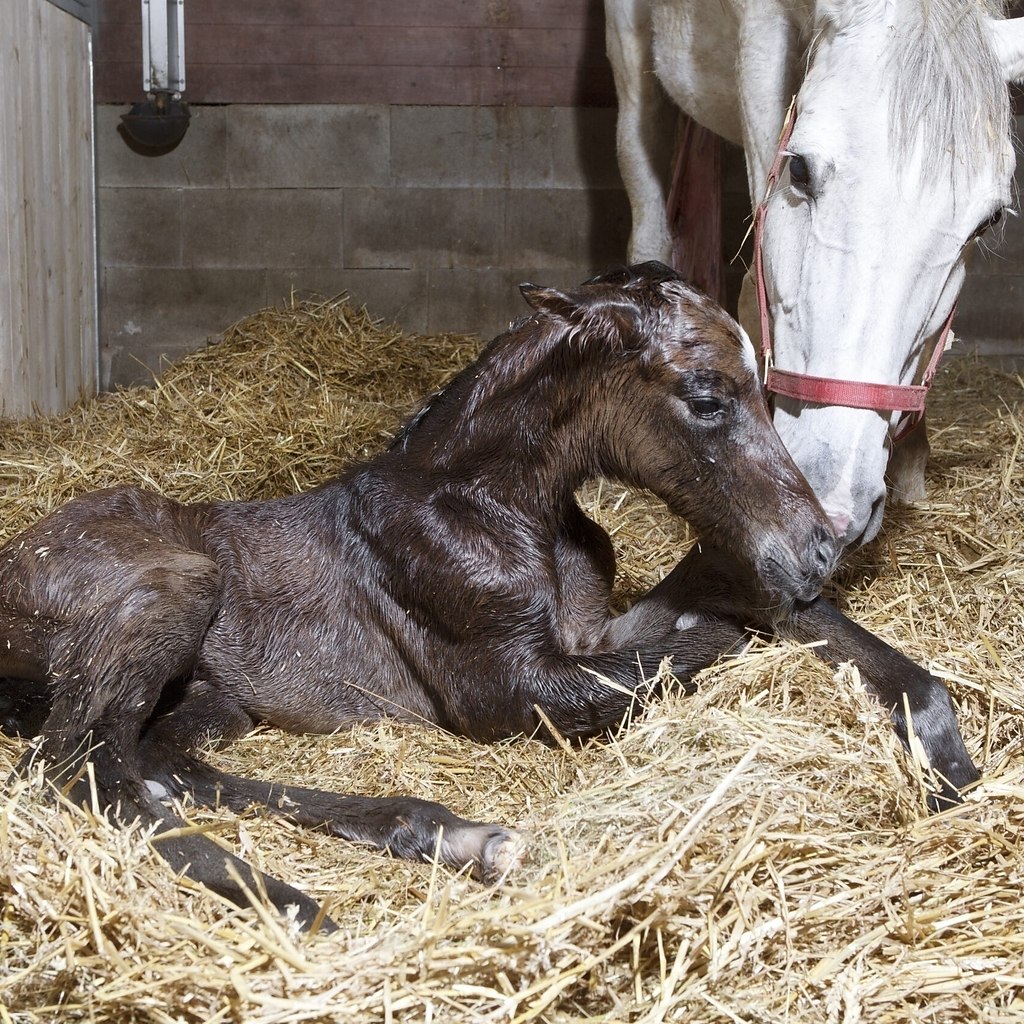 � �a���e� �p� po��e��� �a �o���a� ec�� ����a� po�o�a� ��a�� � ��c��e��a� �a�c��a. ��a c����� ... - 2