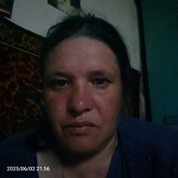 , 40, 