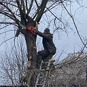 ���� �������, ��������, 50 ��� - ��������� 7 ������ 2026