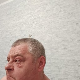, 51, 