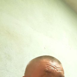 ��������, �������, 63 ����