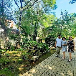 �������, �����������, 50 ���