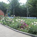 ���� �������, ������� - ��������� 16 ������� 2026 � ������ ���� ����������