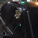 ���� Vladislav, ������, 25 ��� - ��������� 8 ������� 2024 � ������ ���� ����������