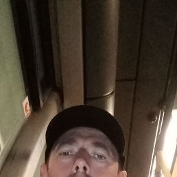 �������, 41 ���, �����