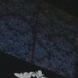 , , 26 